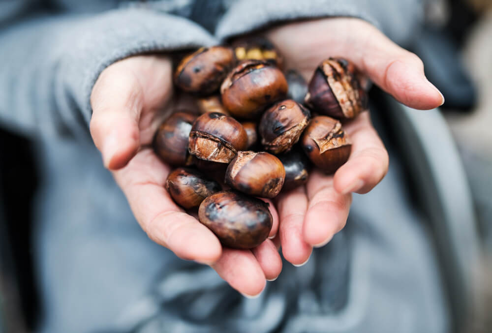 Female hands holding fresh roasted chestnuts 