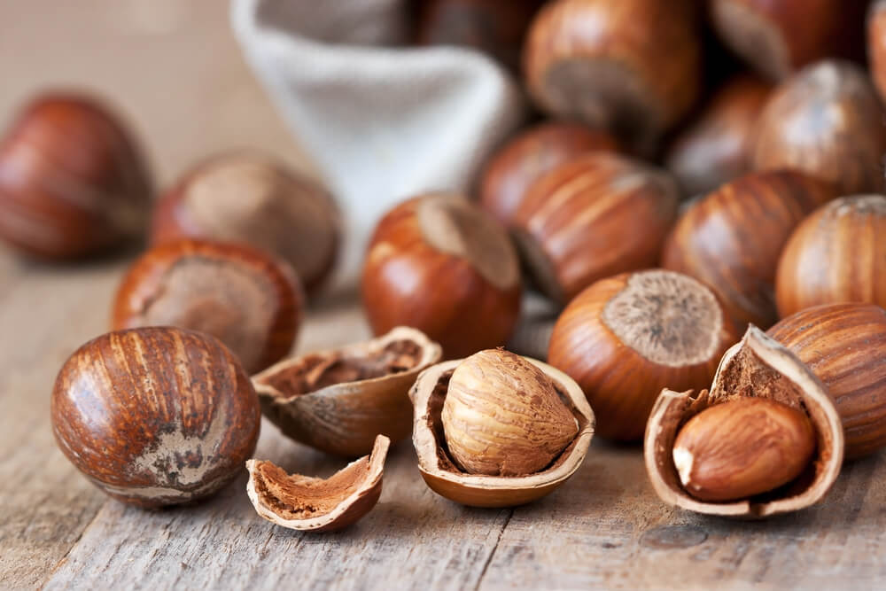 Small collection of hazelnuts in their shells 