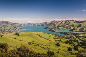 New Zealand landscape