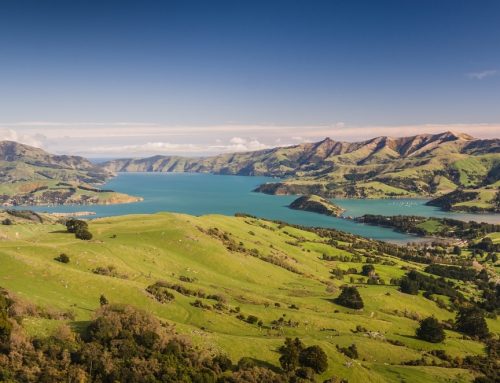 3 Things You Must Do in New Zealand