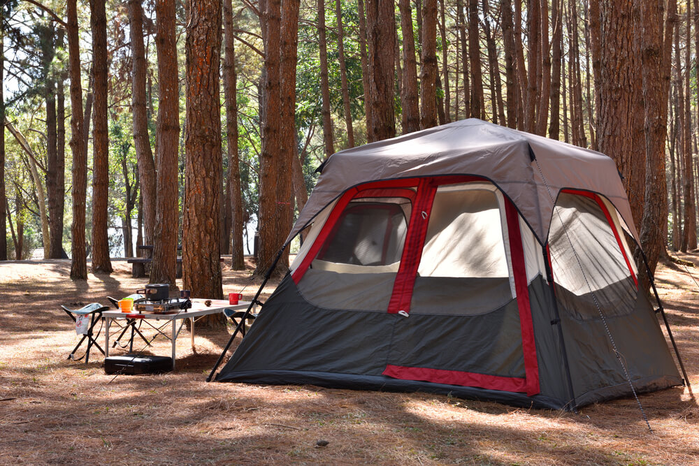 Large tent in forest