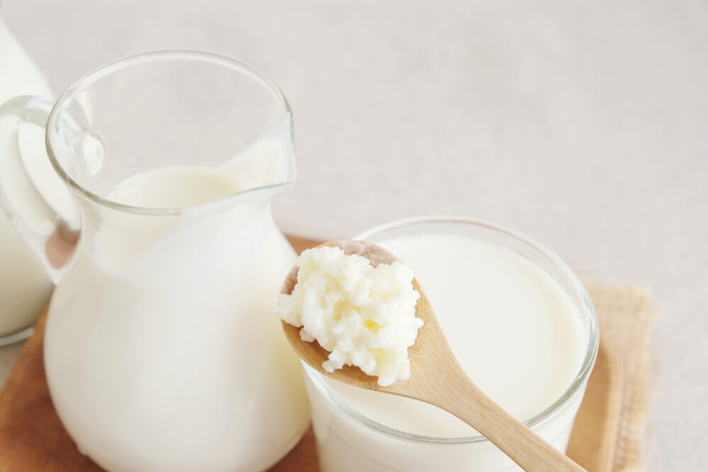 Kefir grains with kefir in jug