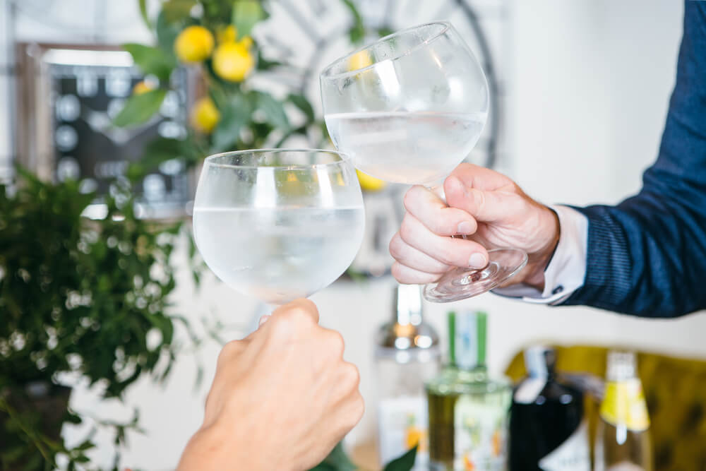 Two people clinking gin glasses