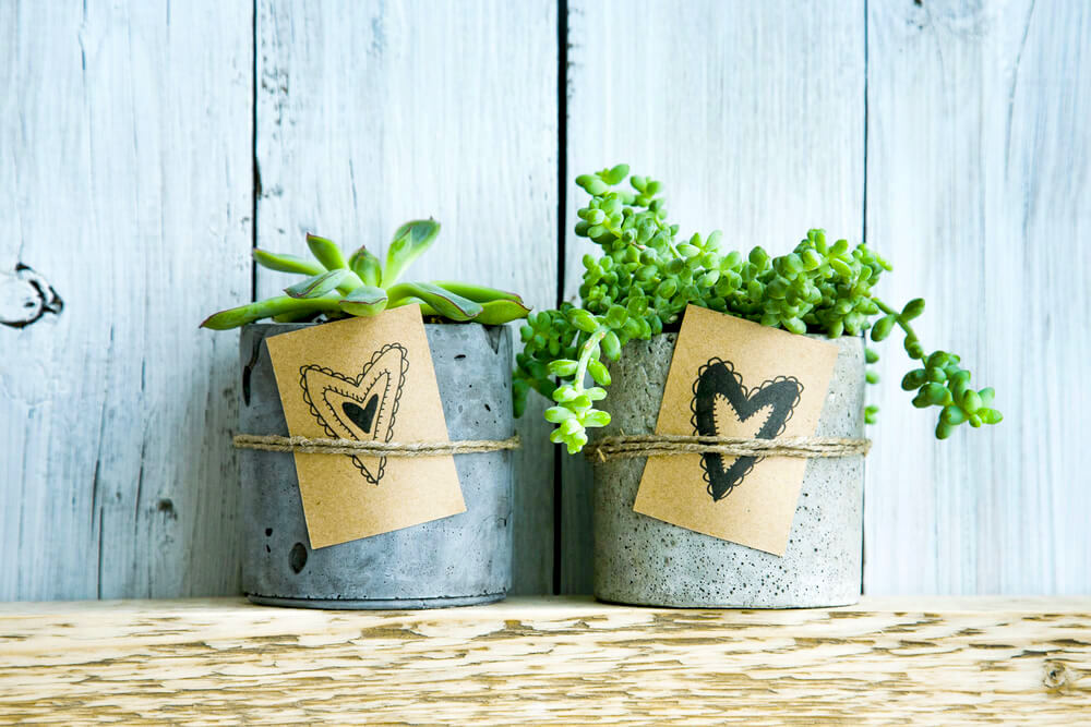 Potted plants and handmade tags