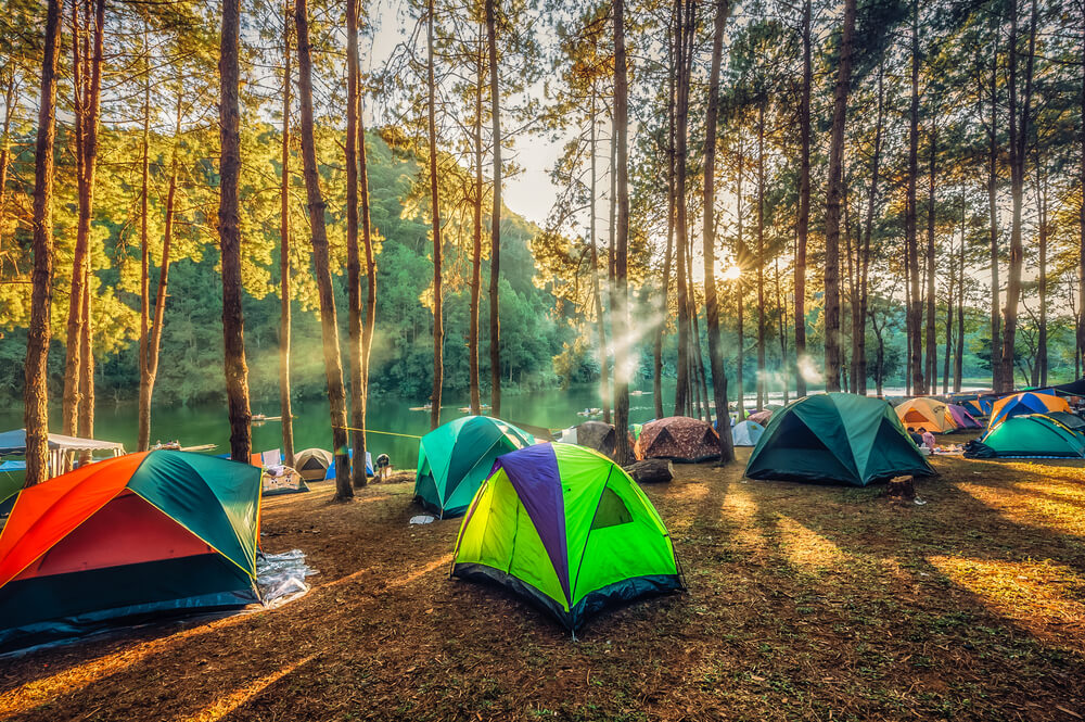 Multiple tents in the forest