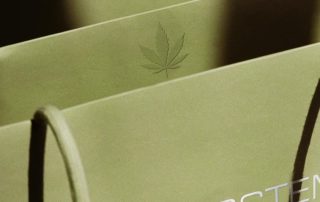 Introstem shopping bags