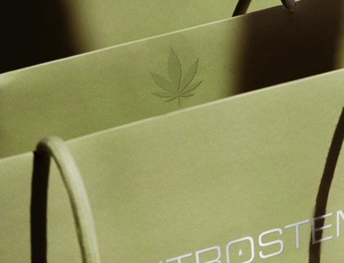 I Caved at an Introstem Mall Kiosk. Here’s What Happened.